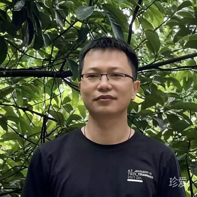 归途