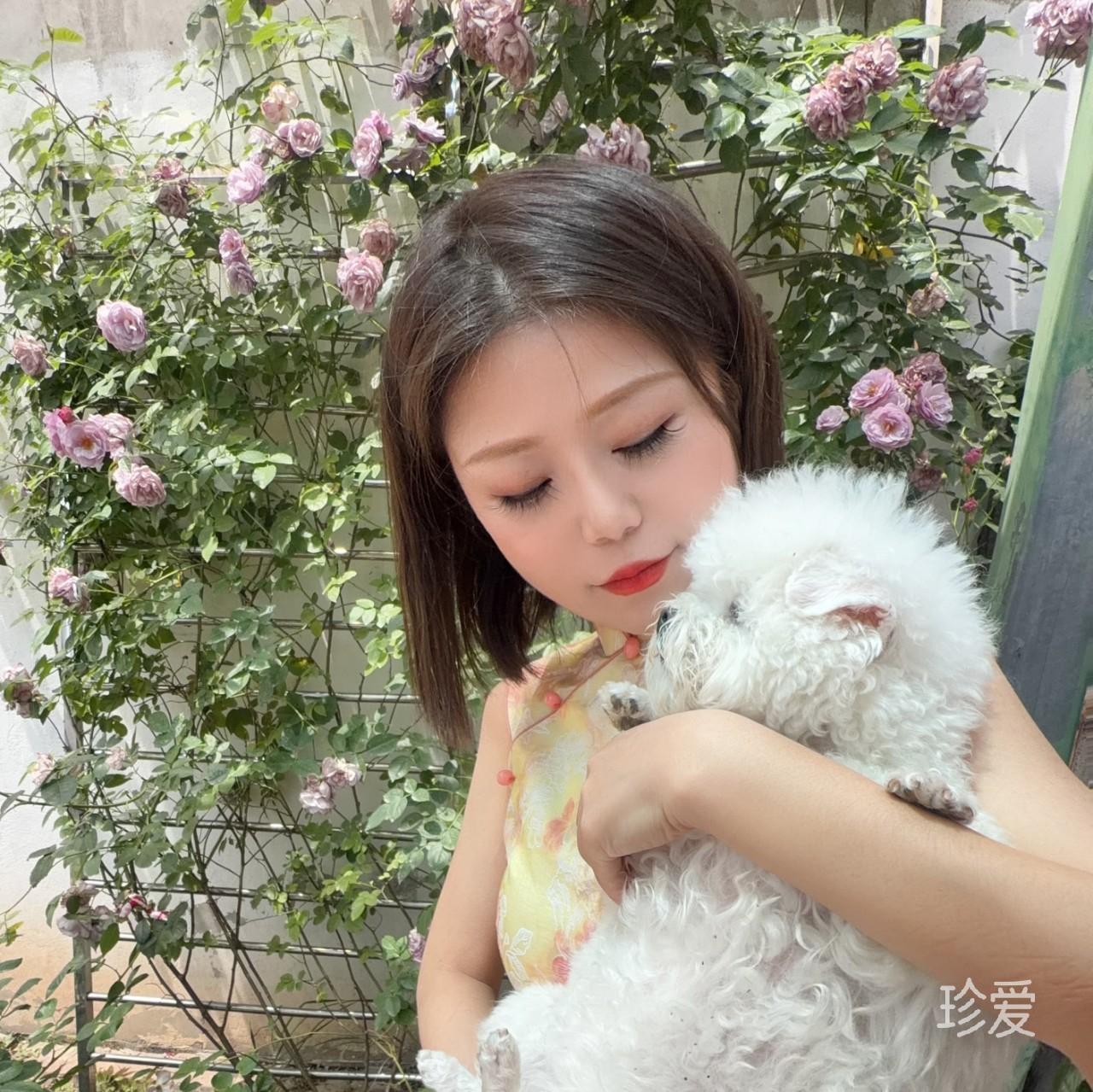 人间值得