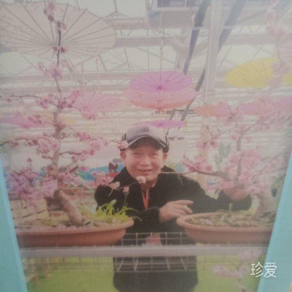 赤诚的心