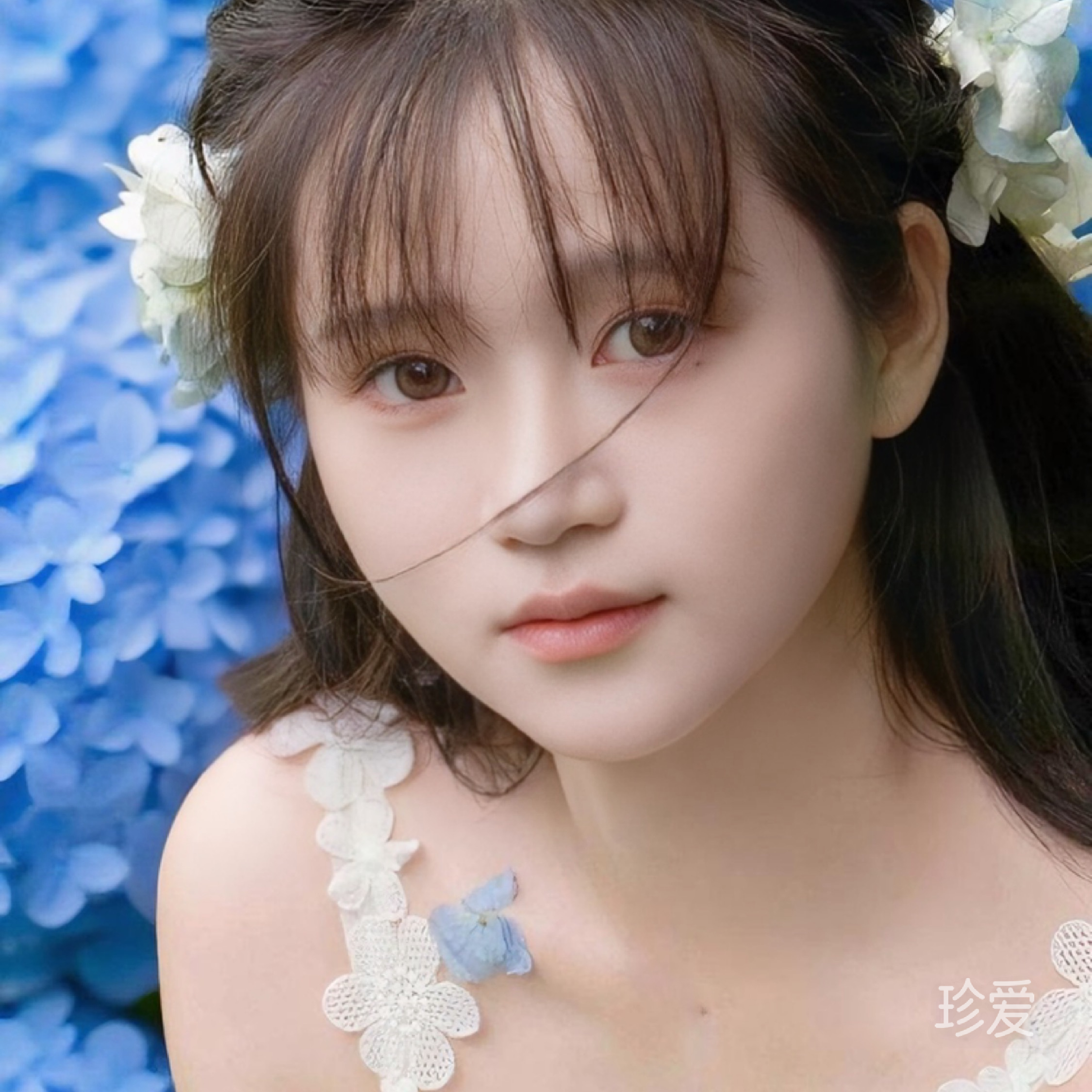 萌萌