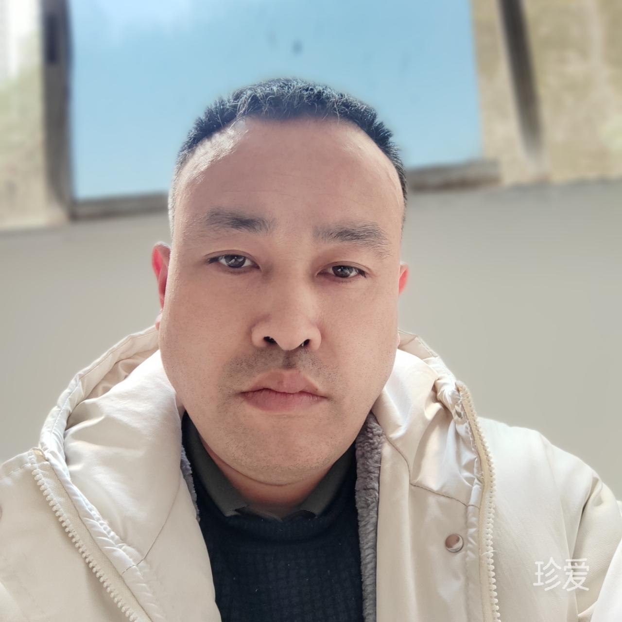 會(huì)游泳的貓