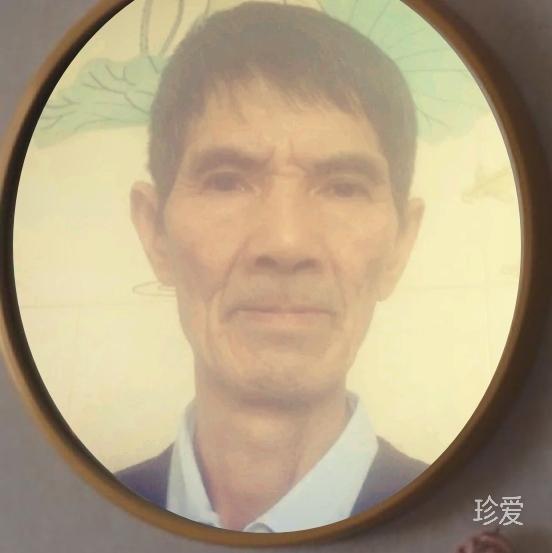 心若菩提