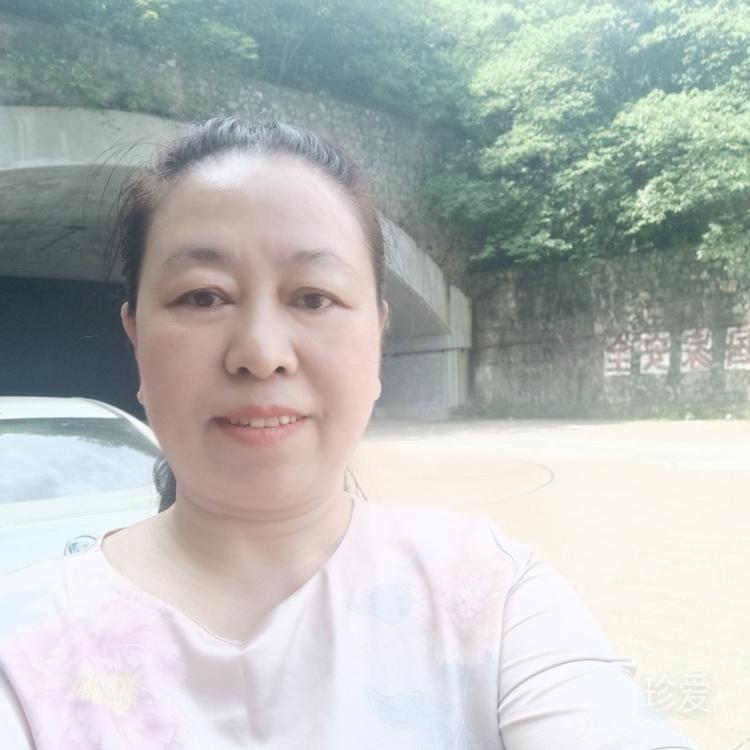 丟了幸福的笨豬