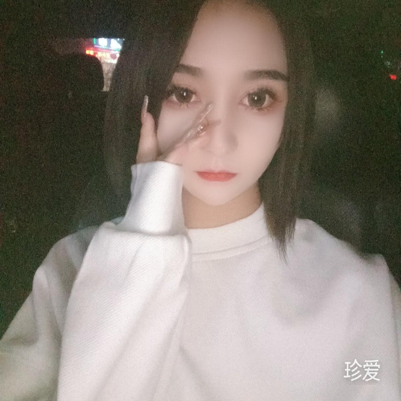 乖巧懂事的小貓咪