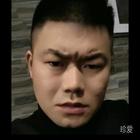 梵高的向日葵