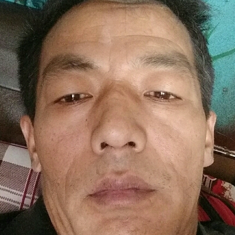 只愿一生爱一人