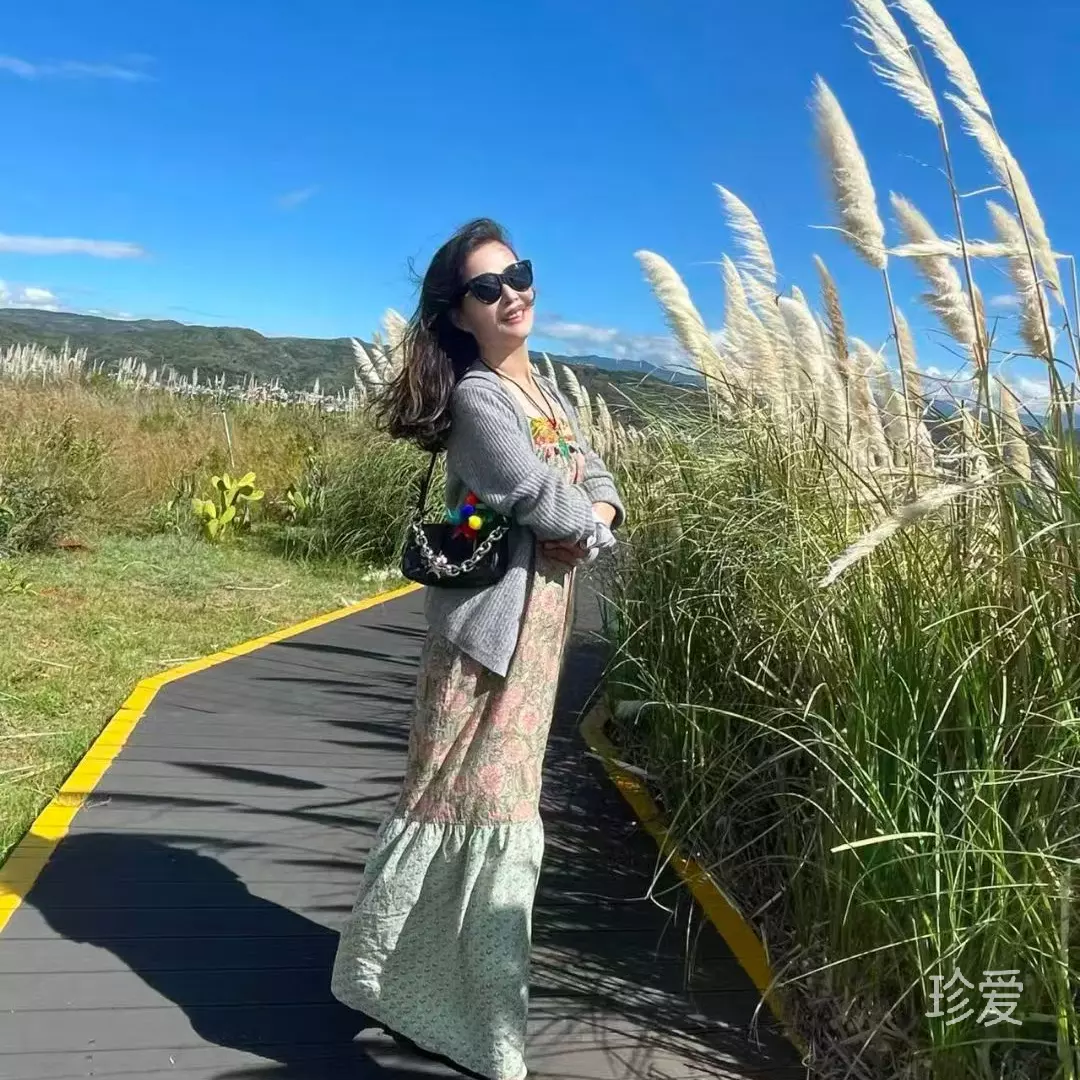 风依旧