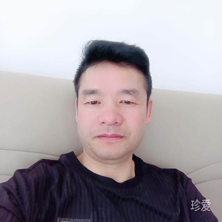 晨枫