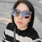 散步的魚(yú)