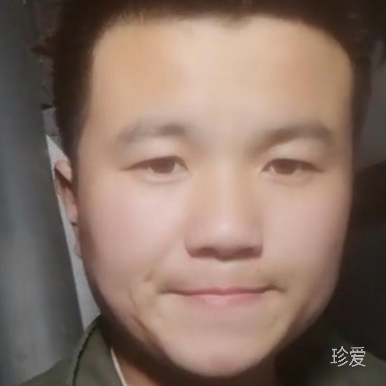 高德地圖全品鳥行