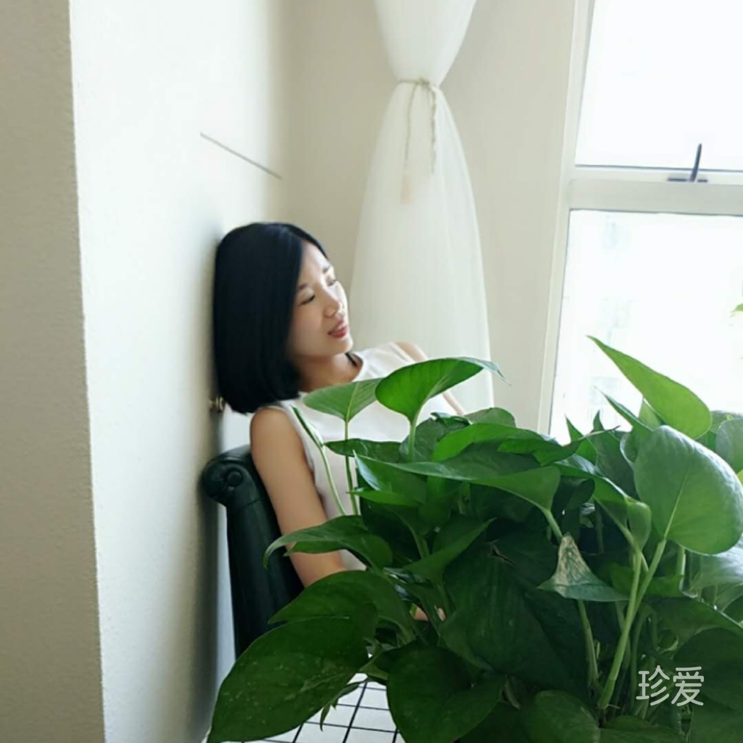 菲菲