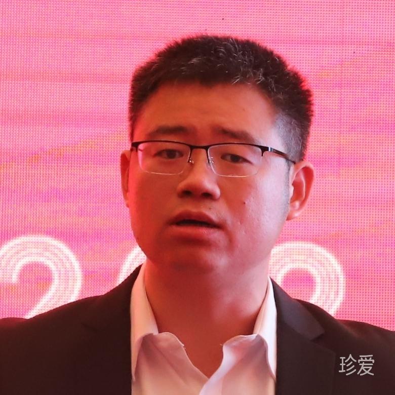黄河以北的长江南