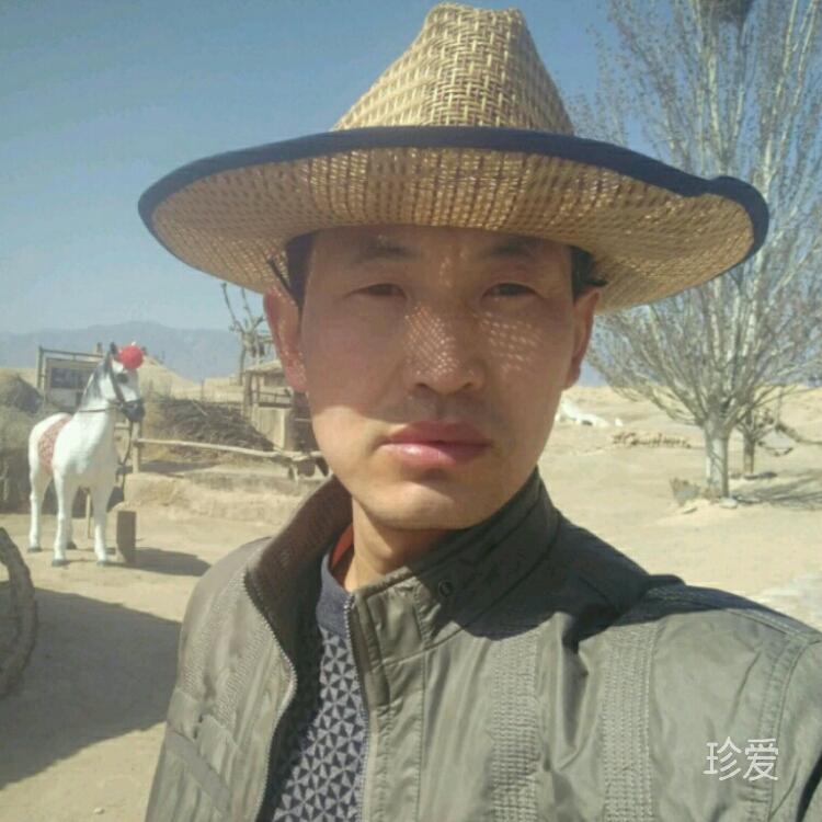 青春的不羁