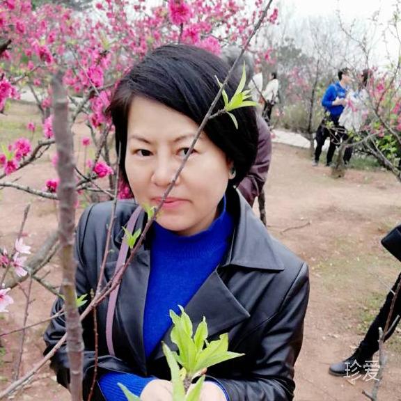 小艺