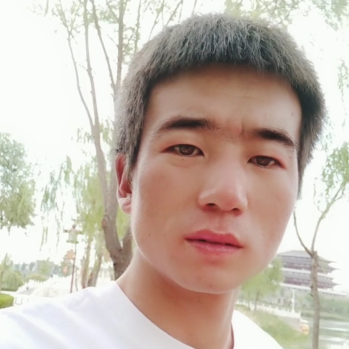 尋找失去的記憶