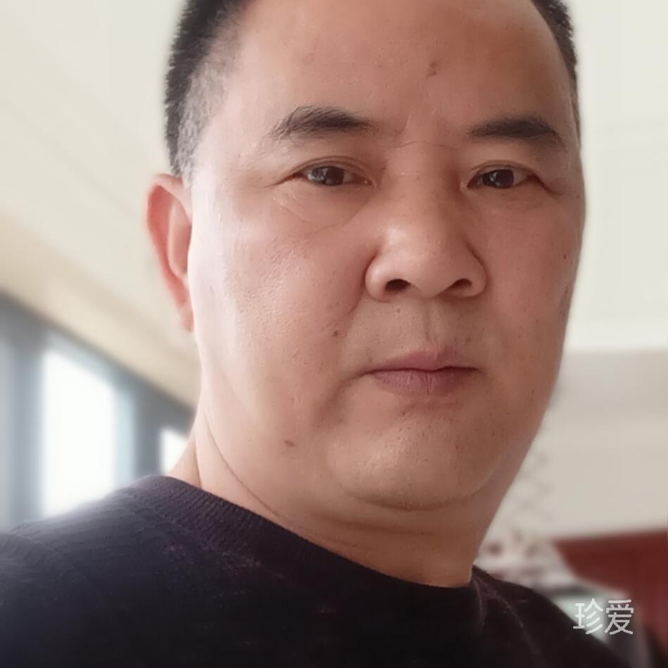 不吃鱼的猫