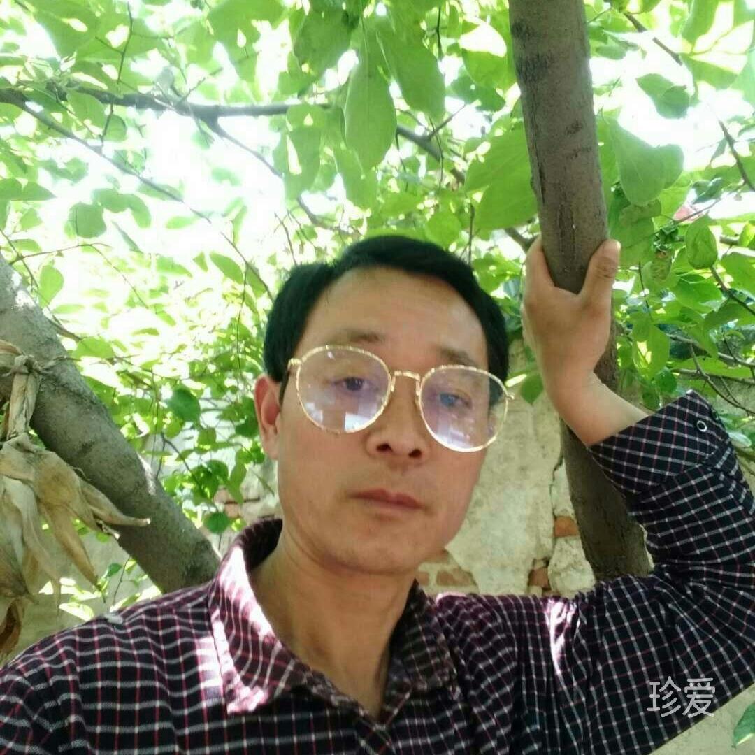 我爱的可以宠上天