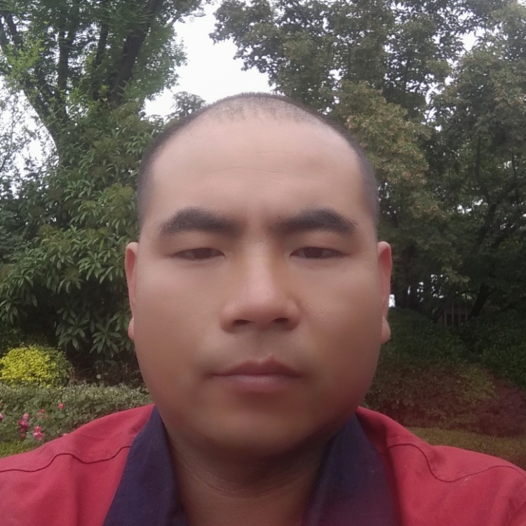 为爱寻找一个港湾