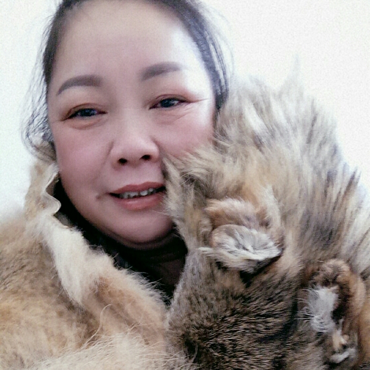 阳光总在风雨后