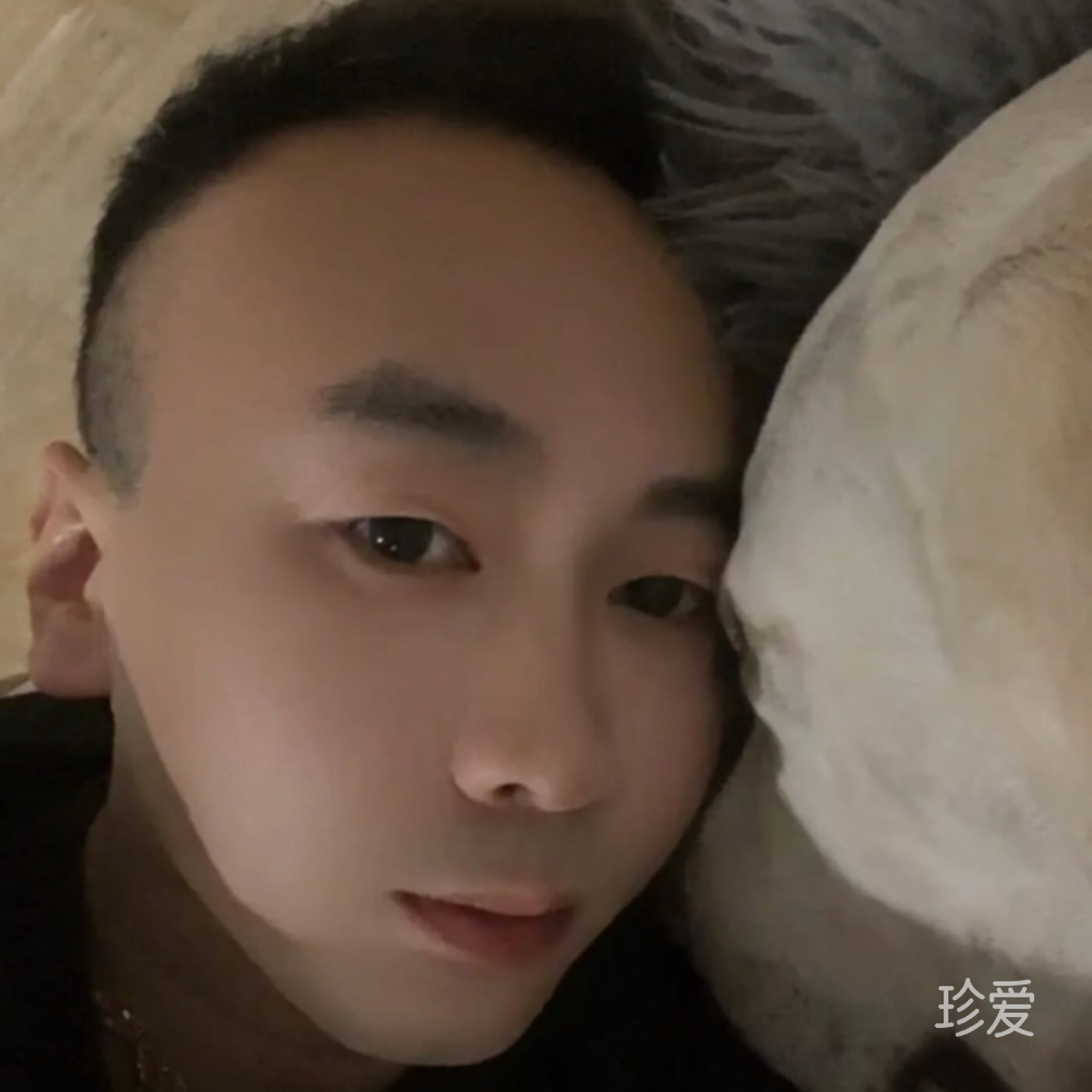 養(yǎng)狗的范范