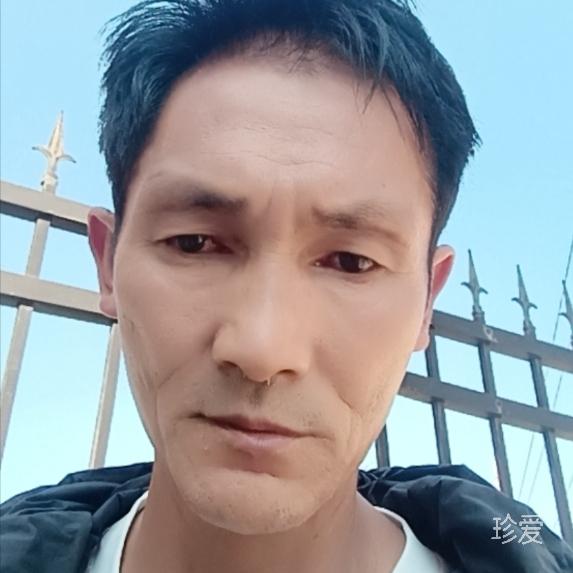 寻找老伴