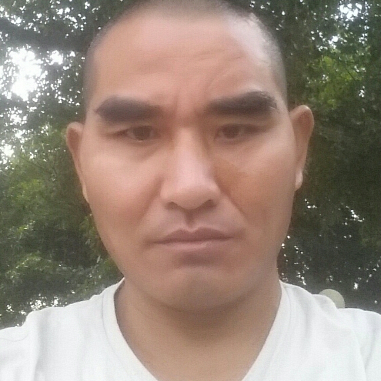 孤独的行者向丰华真