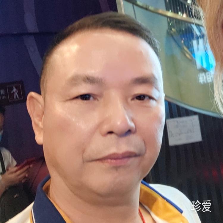 金牛迎春