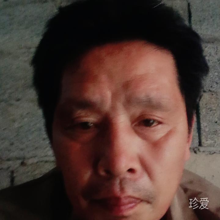 千年轮回