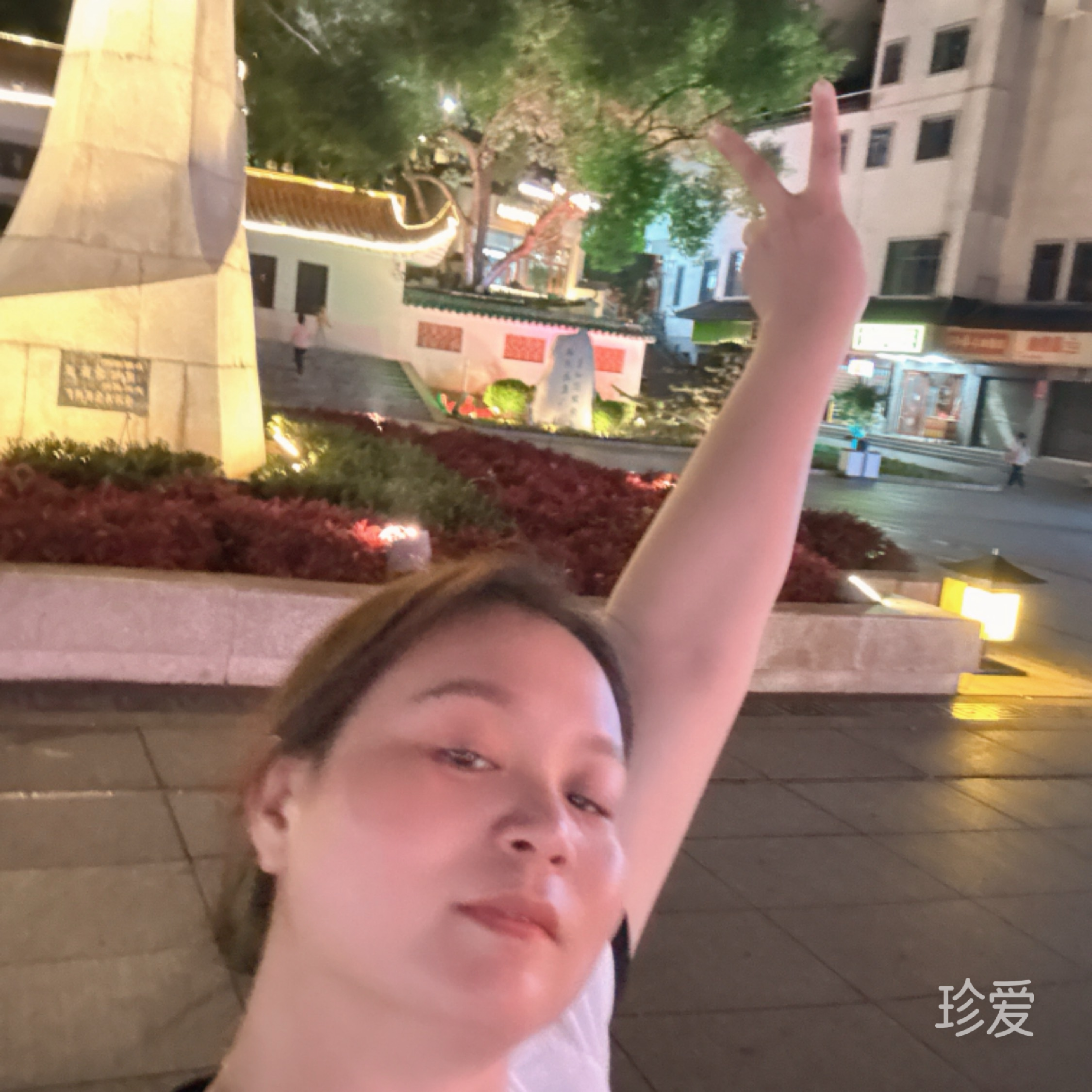 小镇向日葵