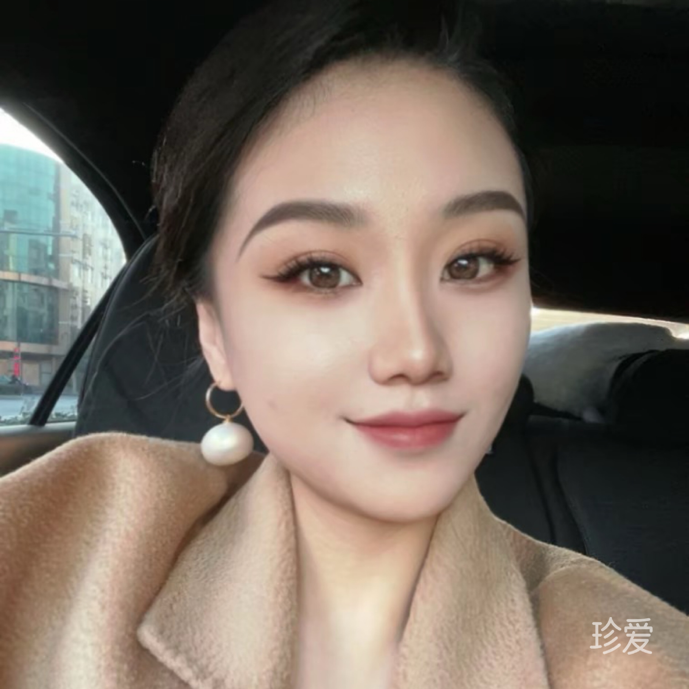 端庄的约克夏