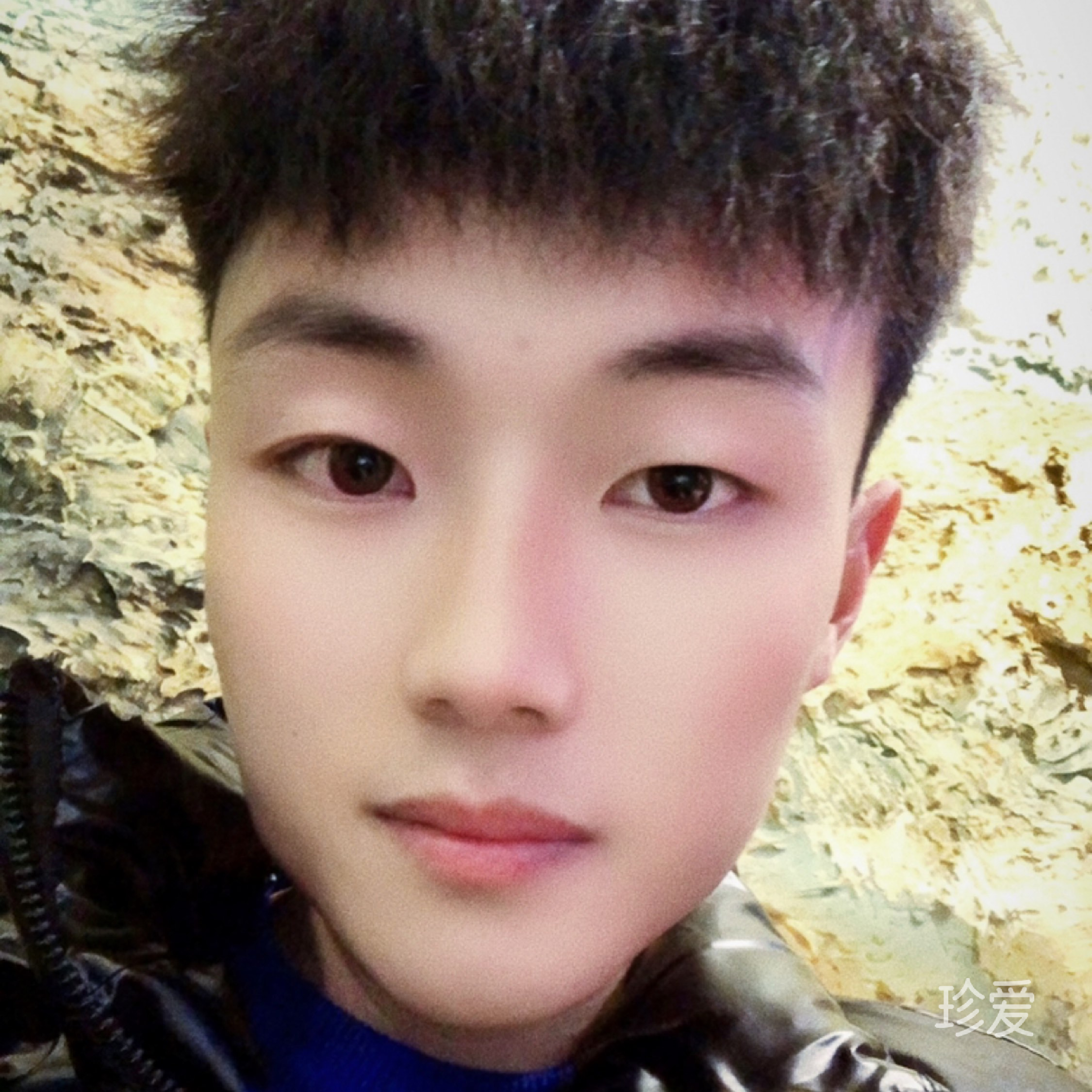 晴天在花海里擱淺