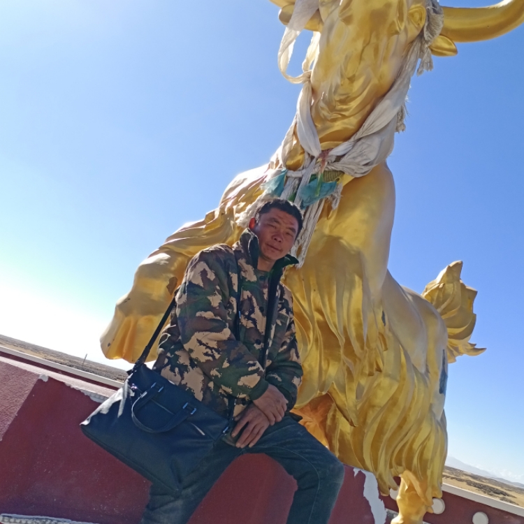 经历过生活的人