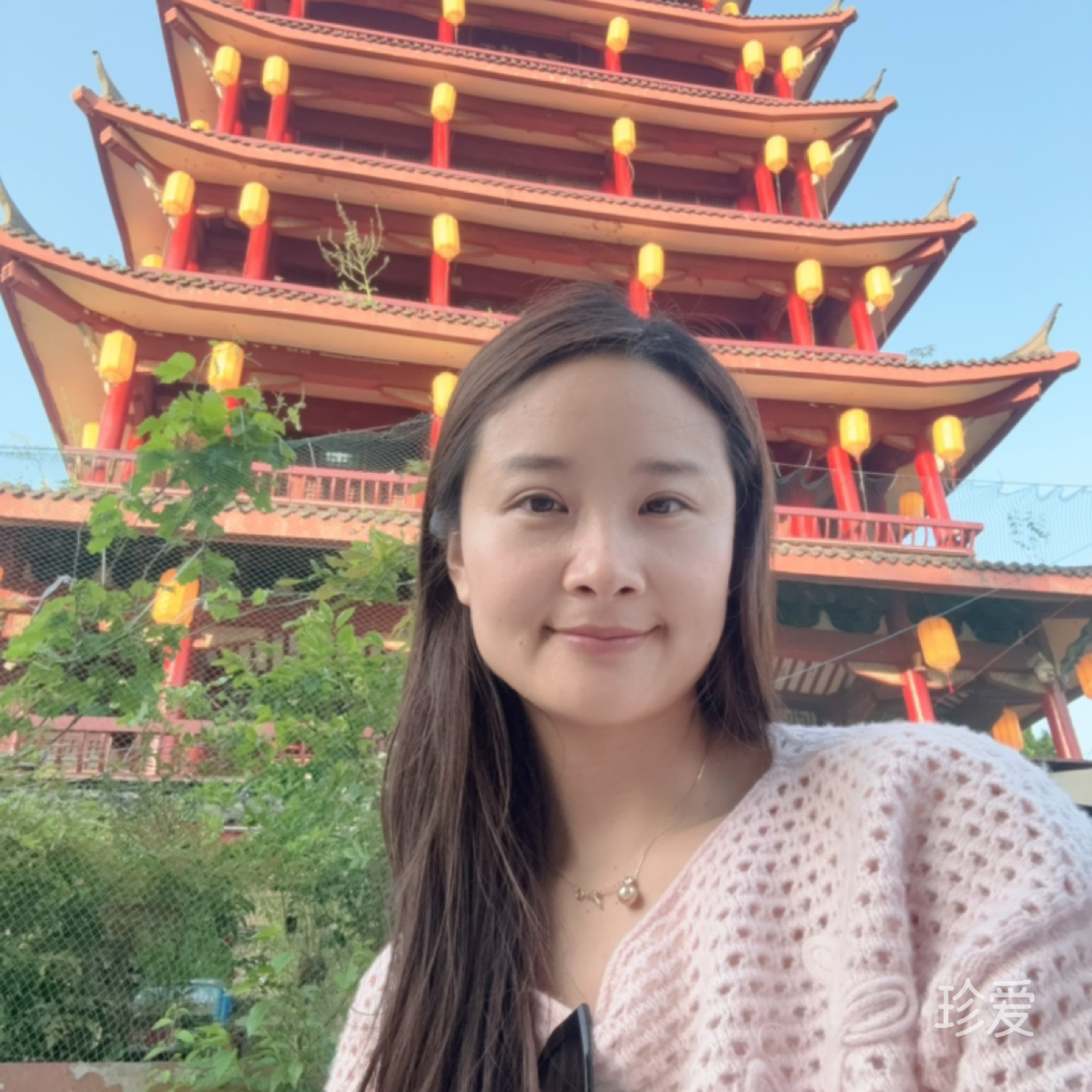 傲雪寒梅独自香