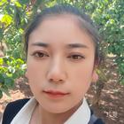 陽(yáng)光快樂(lè)