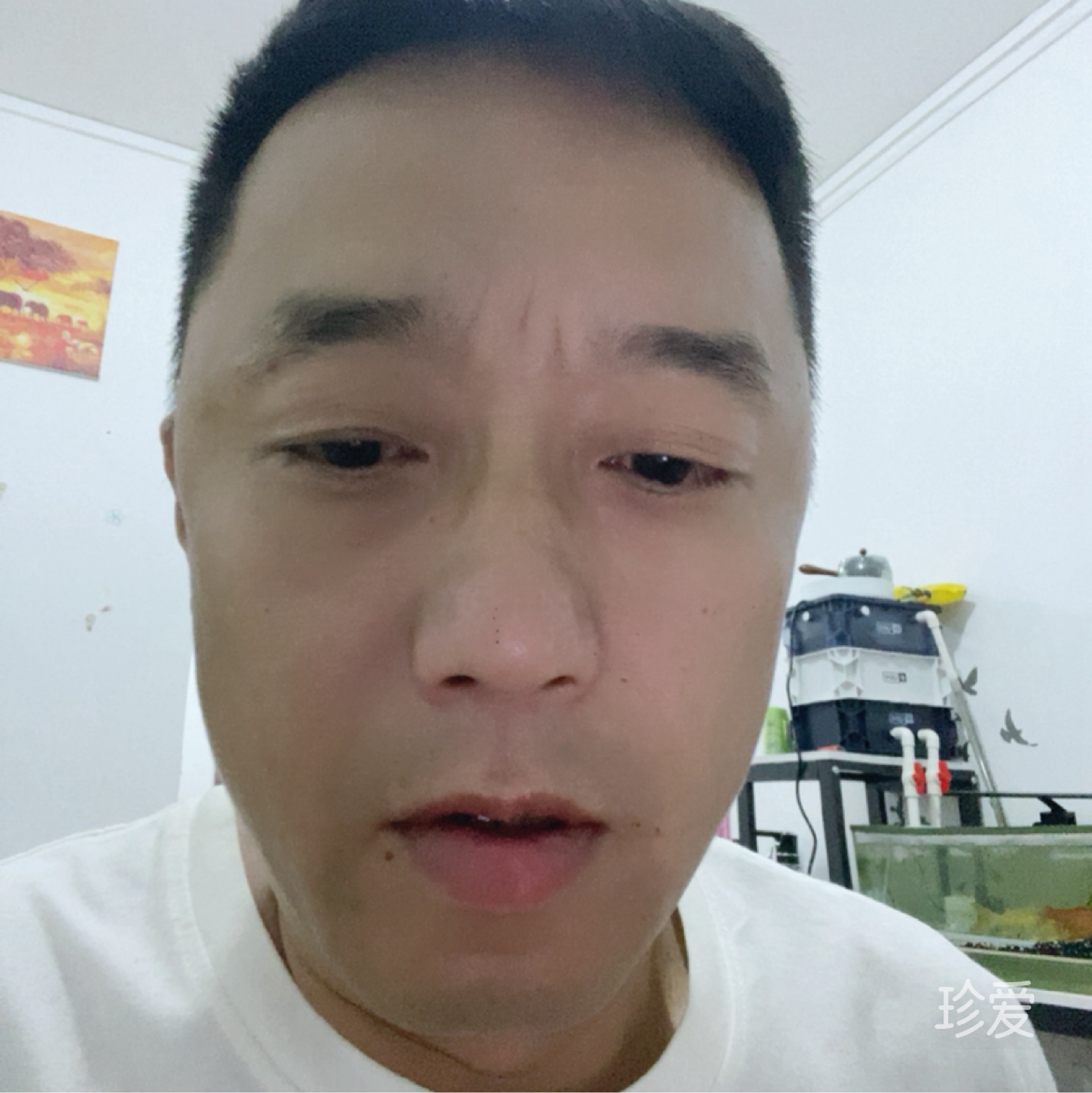 幸福的港湾