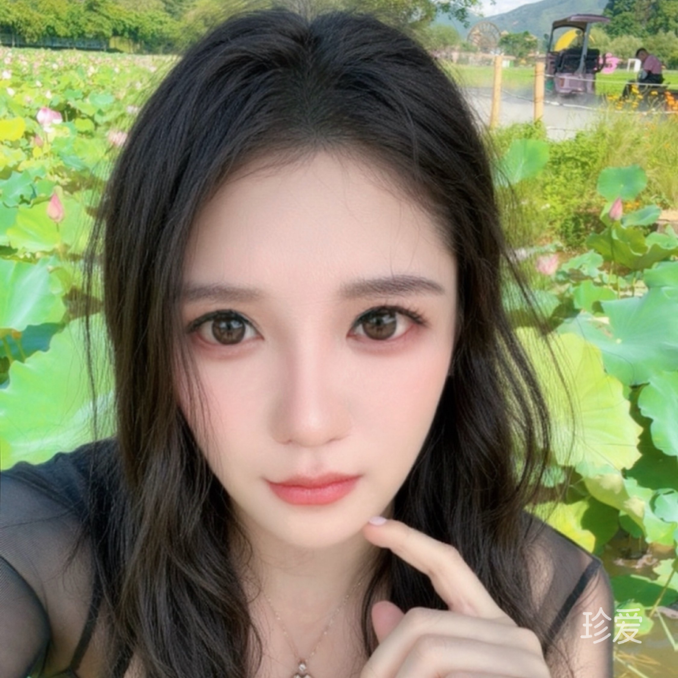 妮妮可可