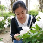 風(fēng)荷夢(mèng)想成真