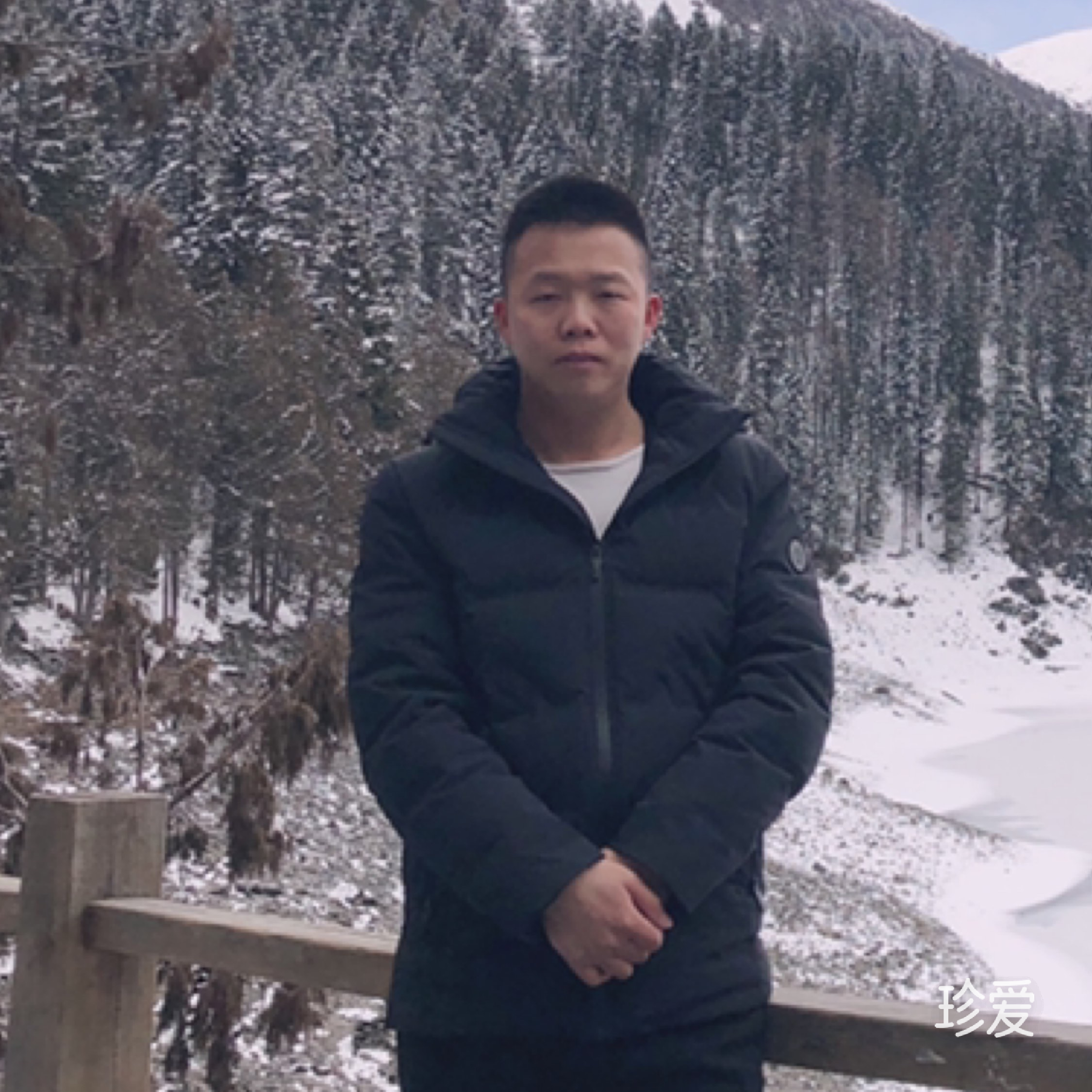 寻找真爱的神鹰