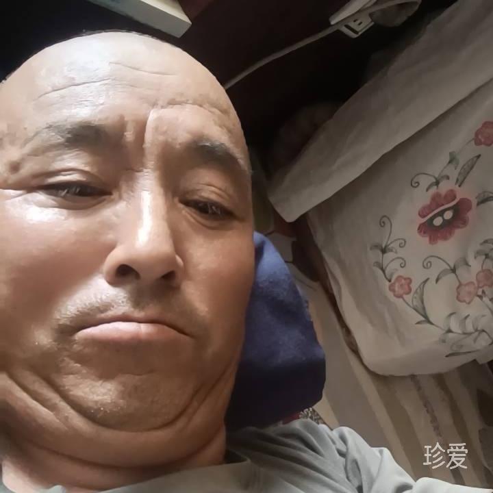 三华梨