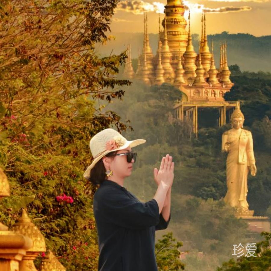 羊羊