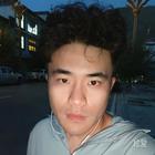 一頭倔犟的驢