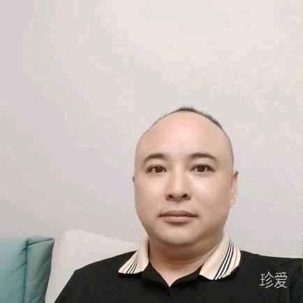 真心真意
