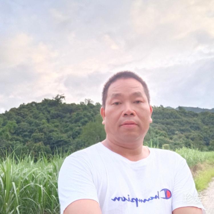 愛到深處是卑微