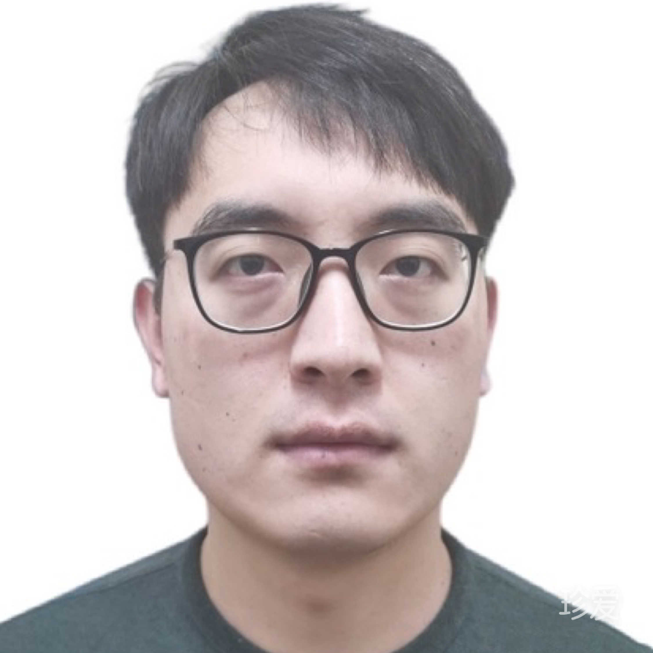 一只特立独行的猪