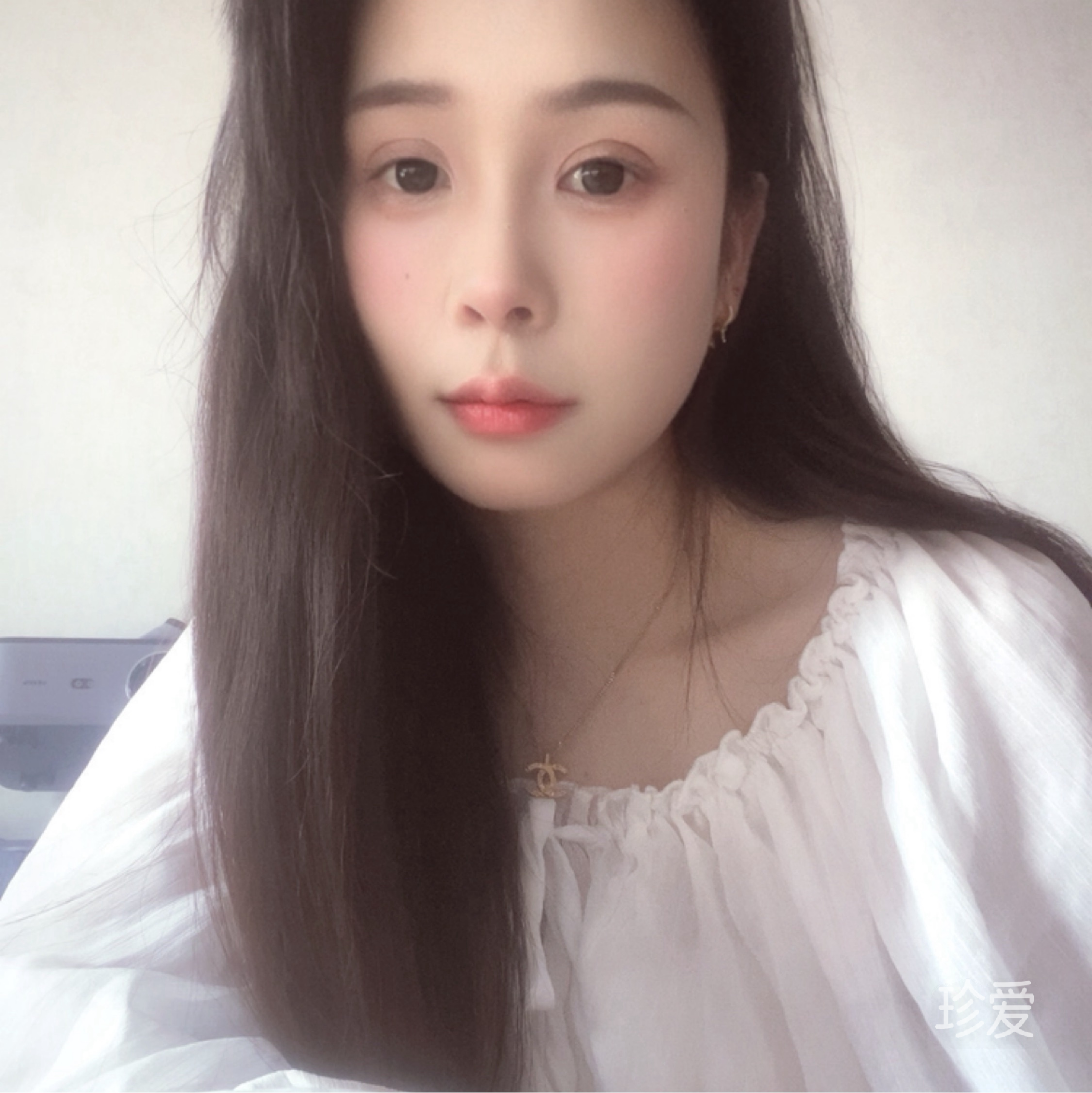 慵懒的小猪