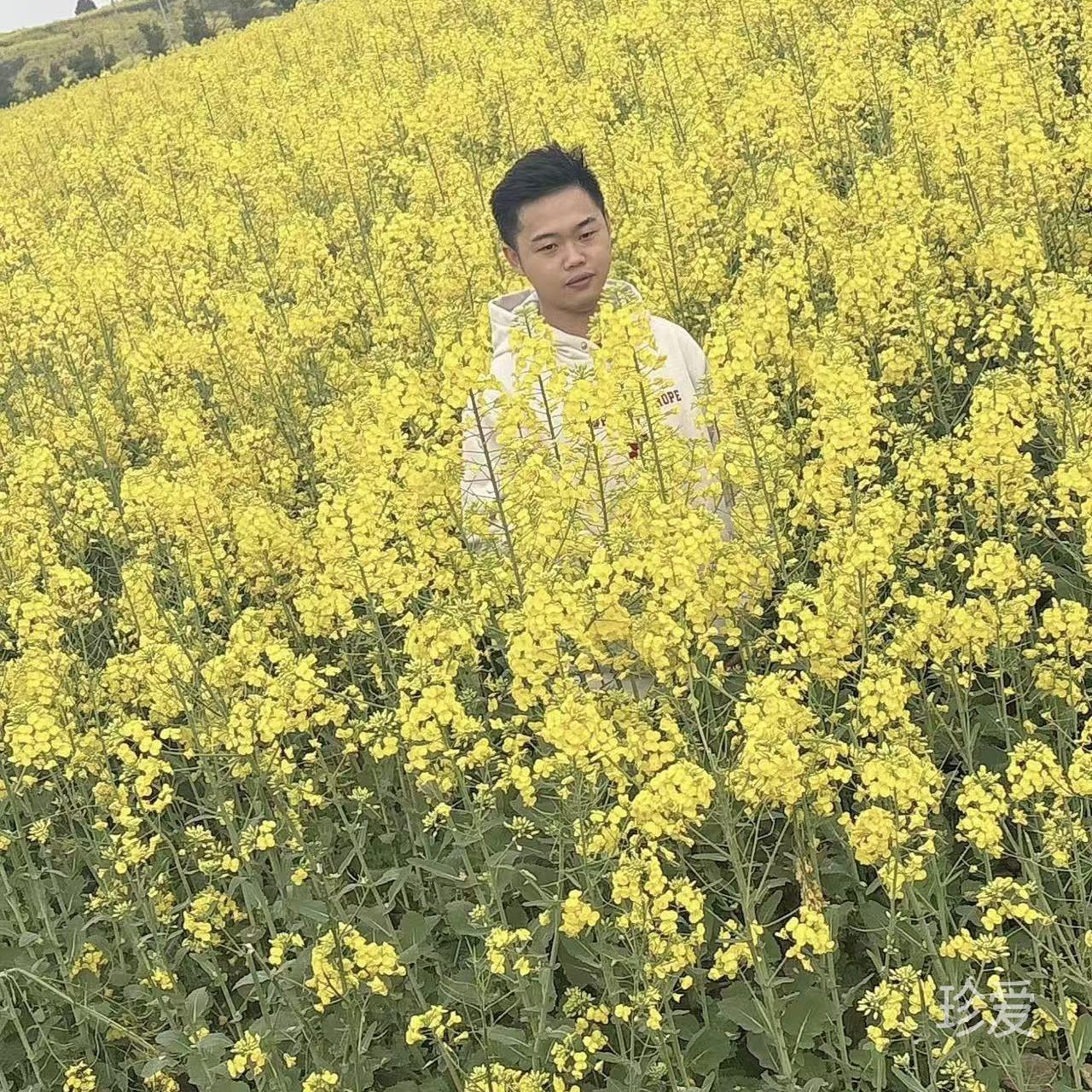 星河璀璨