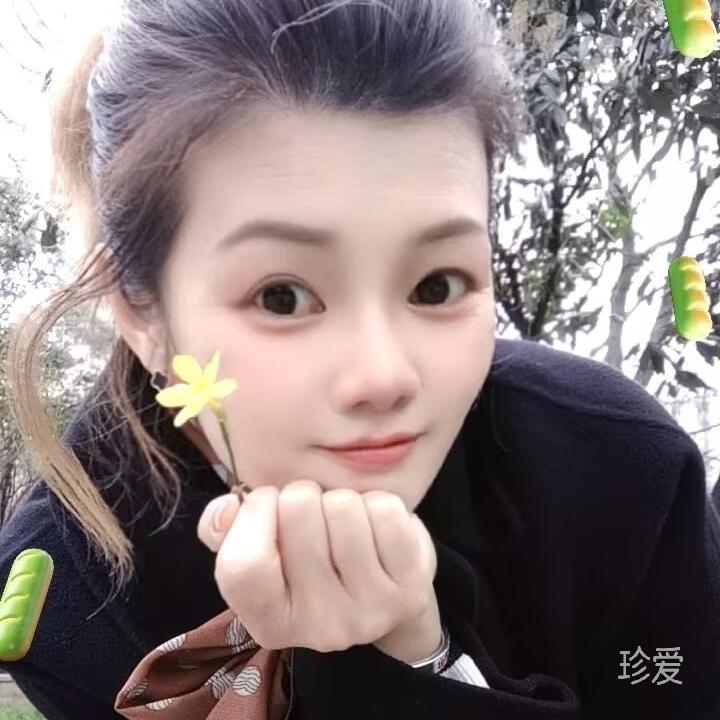 小猪蹄