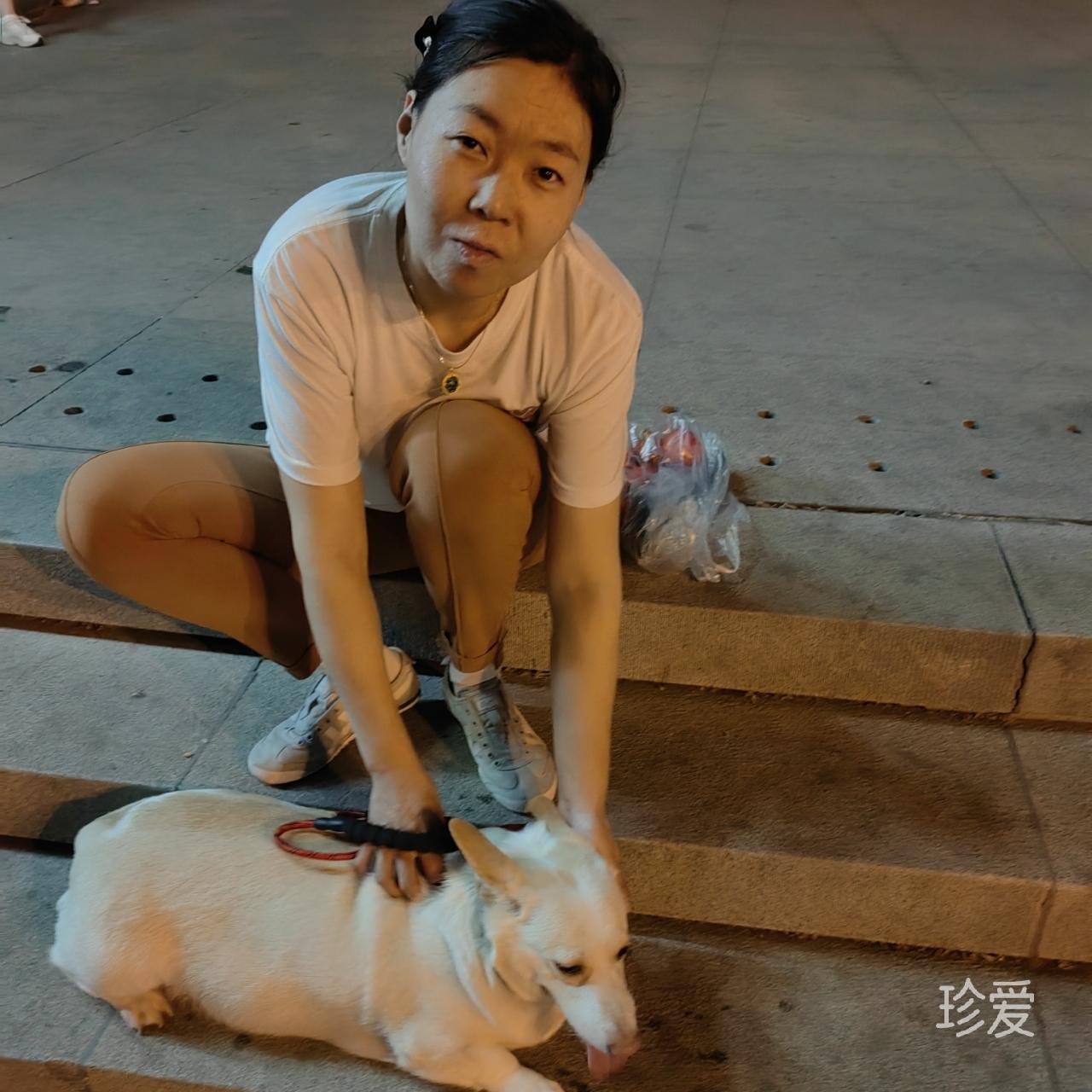 哈密瓜