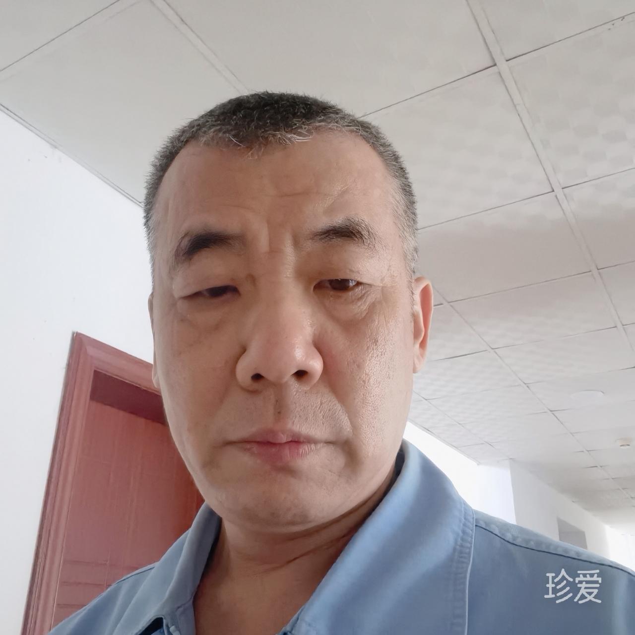 岁岁无黄先生
