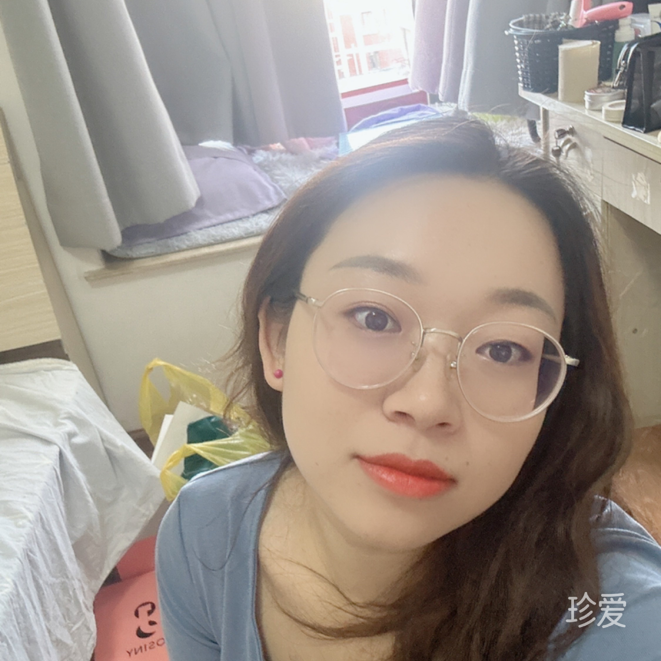 路燈下的流浪貓